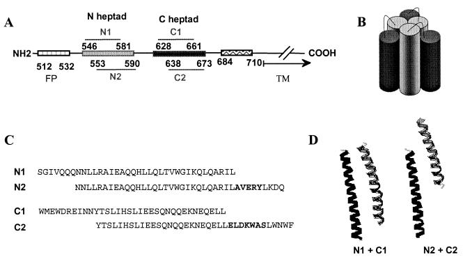 FIG. 1