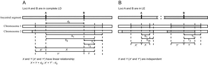 Figure  1