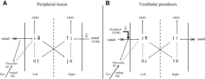 Fig. 9.