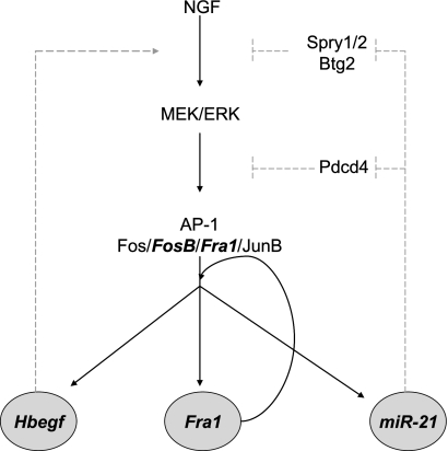 FIGURE 11.