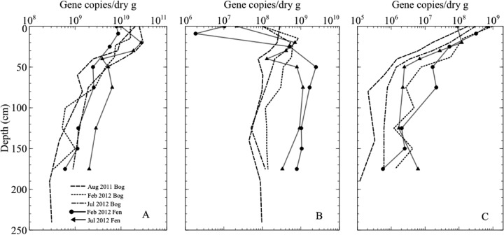 FIG 2