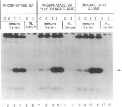 graphic file with name pnas01045-0157-a.jpg