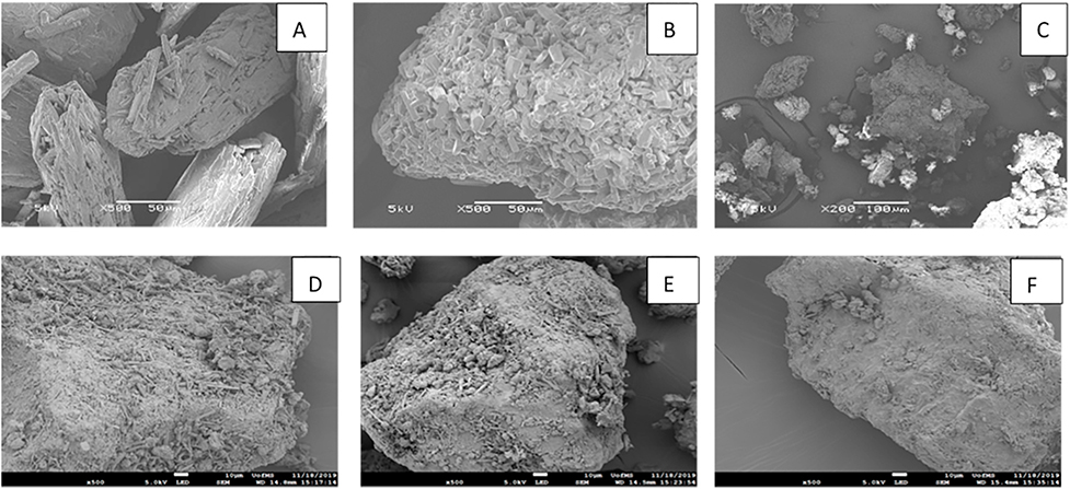 Fig 6.