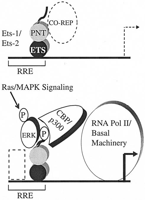 FIG. 7.