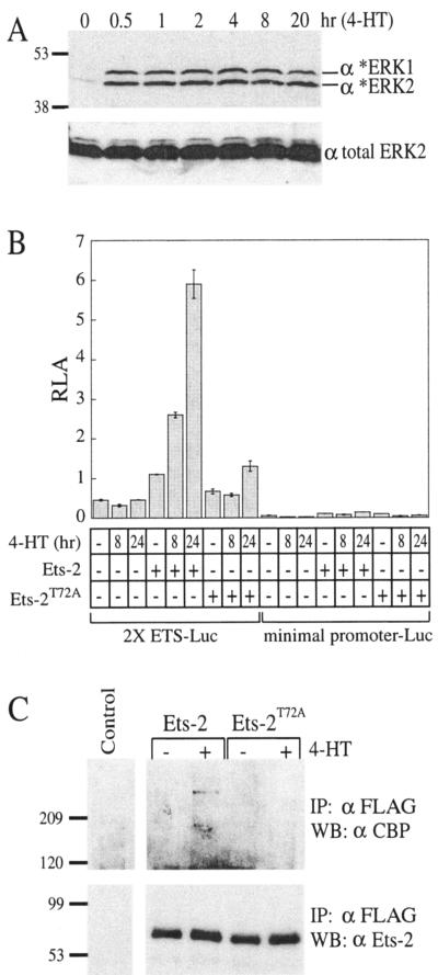 FIG. 6.