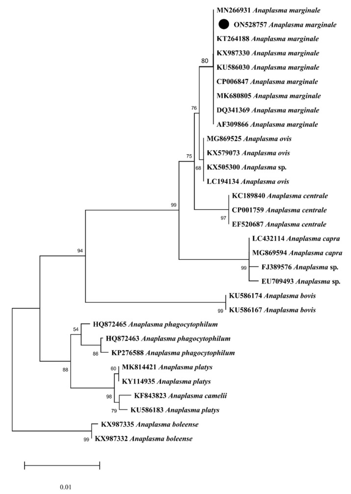 Figure 7