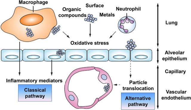 Figure 4