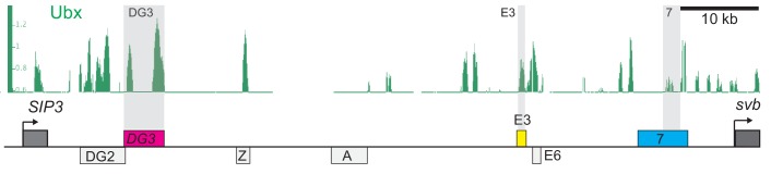 Figure 1—figure supplement 1.