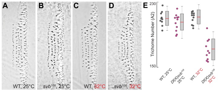 Figure 2—figure supplement 1.