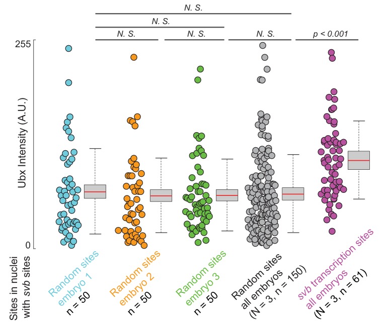 Figure 3—figure supplement 1.