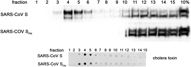 Fig. 6