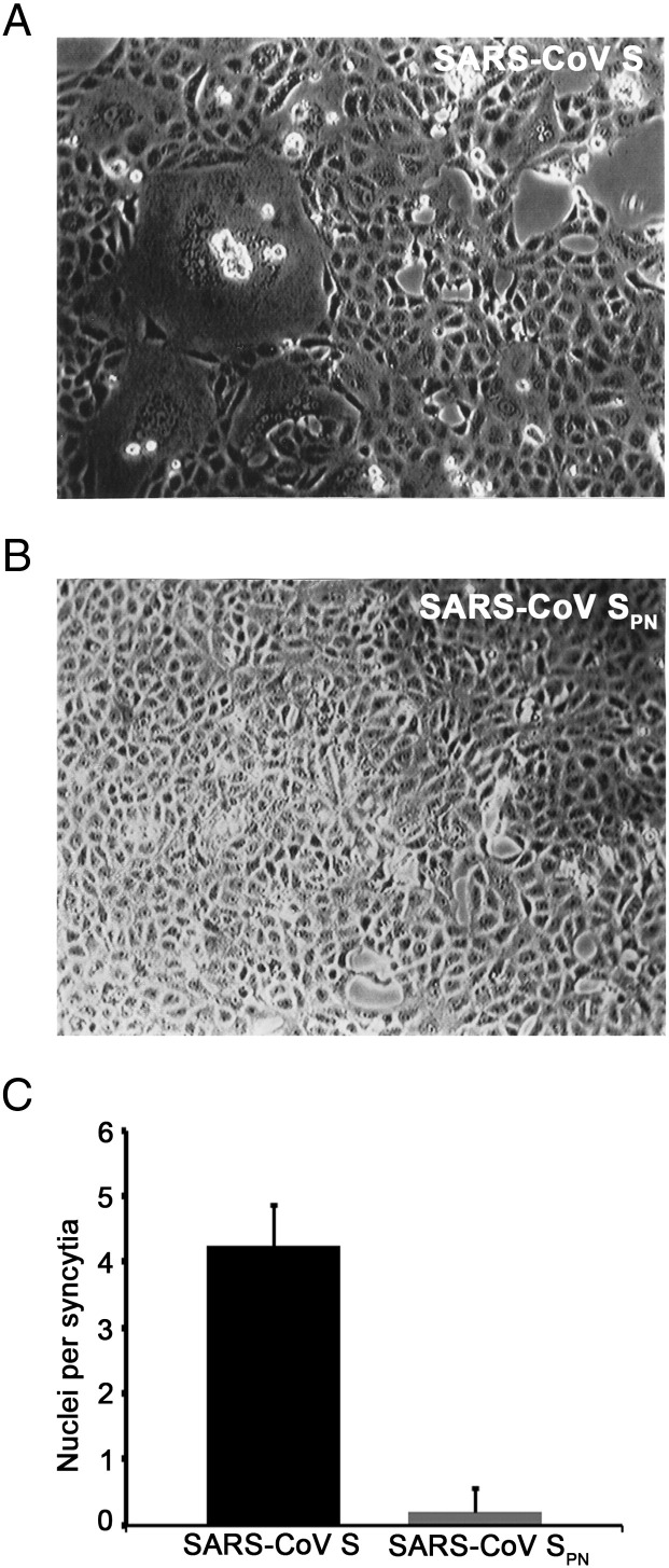 Fig. 7