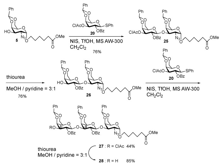 Scheme 5