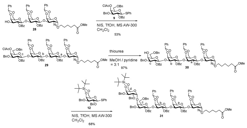 Scheme 6