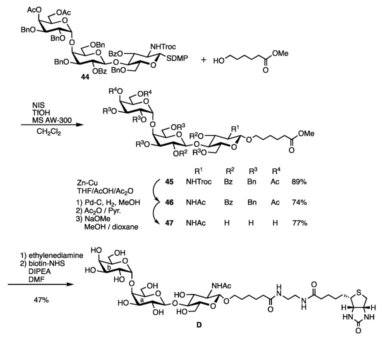 Scheme 10