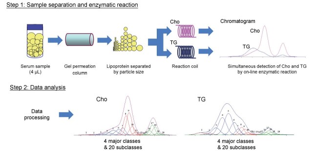 Supplementary Fig.1. Methods of GP-HPLC (LipoSEARCH)