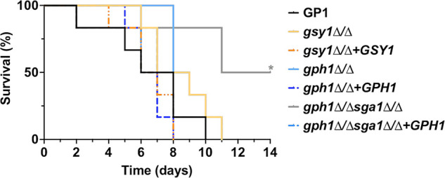 FIG 7