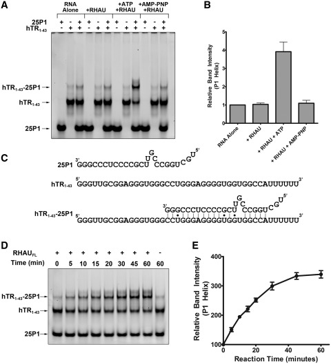 Figure 4.