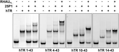 Figure 6.