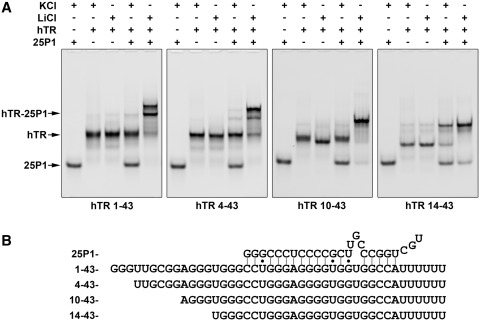 Figure 5.