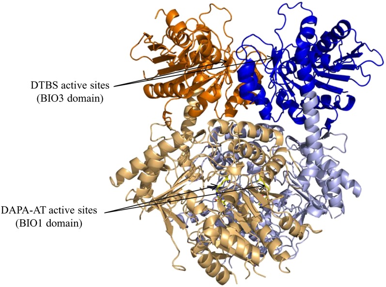 Figure 5.