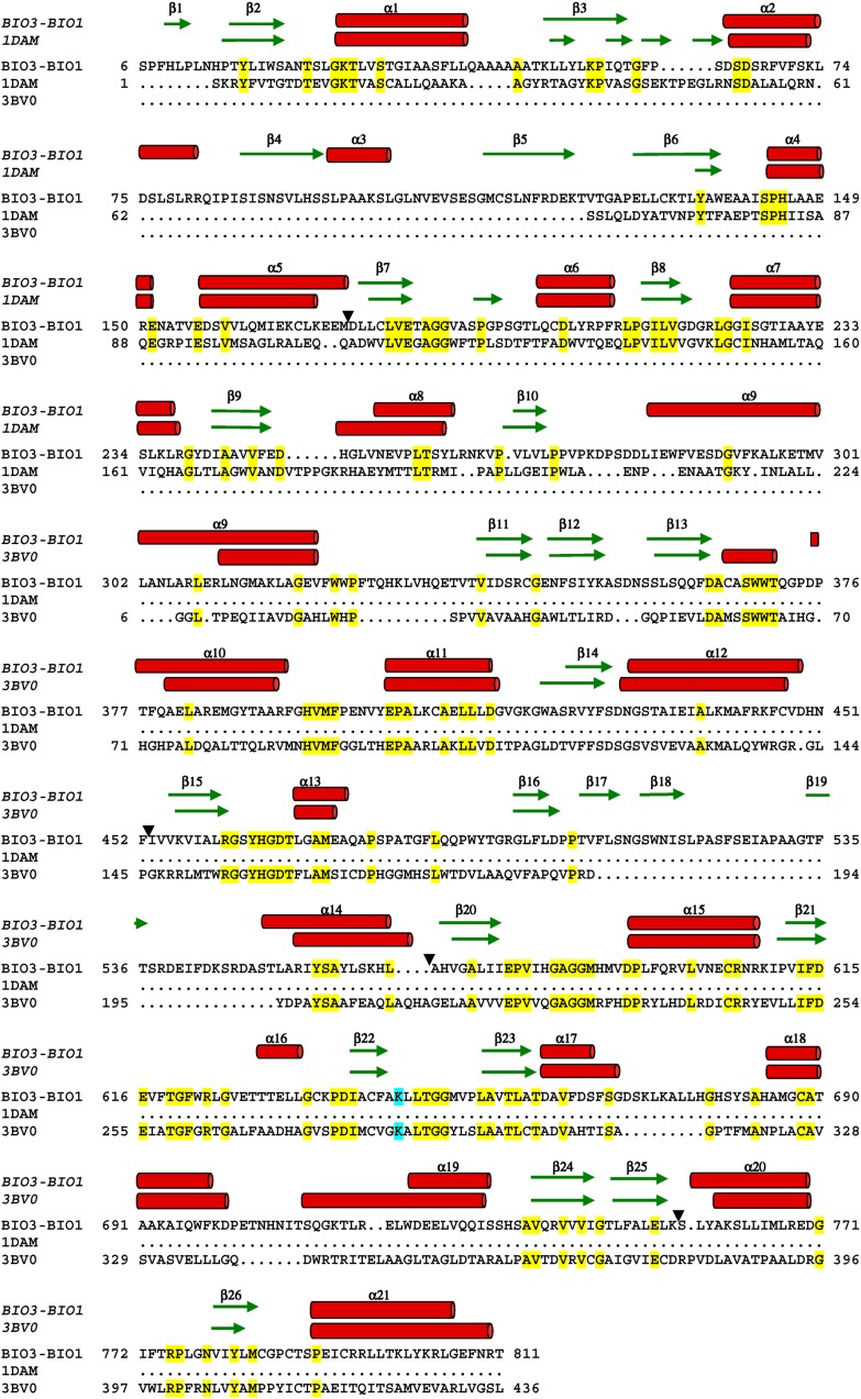 Figure 10.