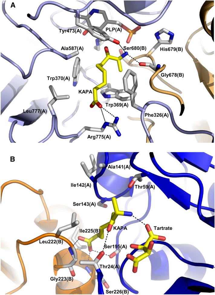 Figure 7.