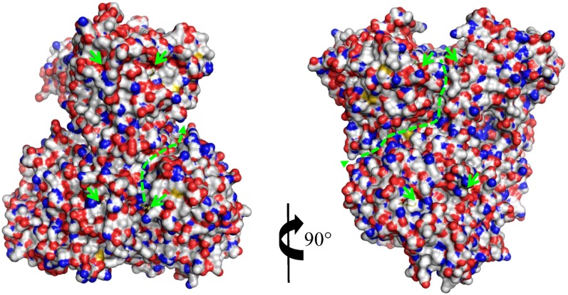 Figure 6.