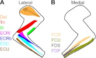 Fig. 1.