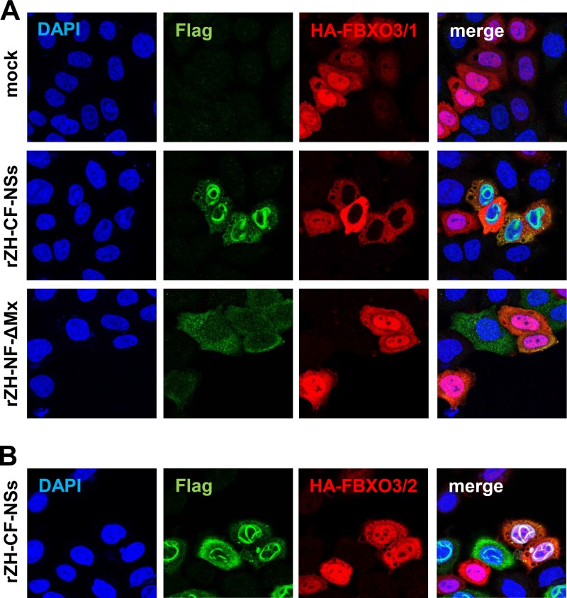 FIG 6