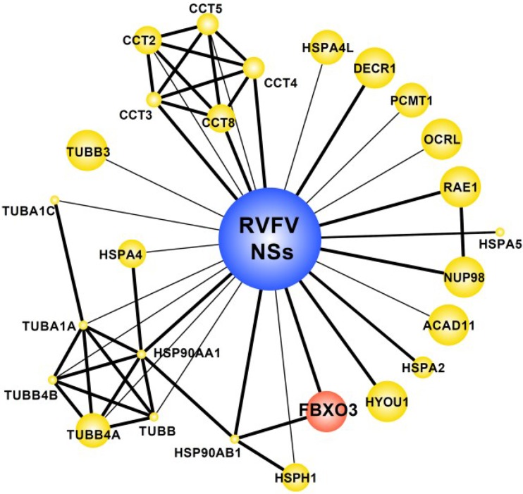 FIG 2