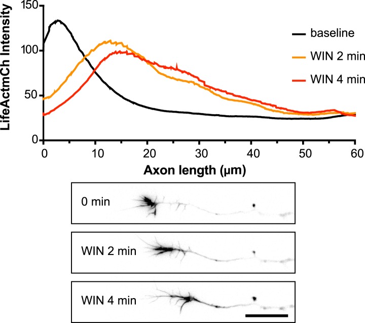 Figure 2—figure supplement 1.