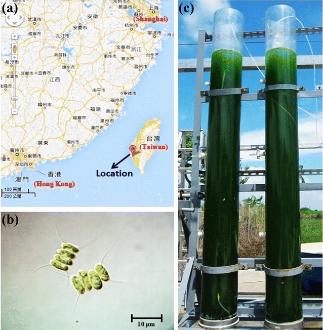 Fig. 1