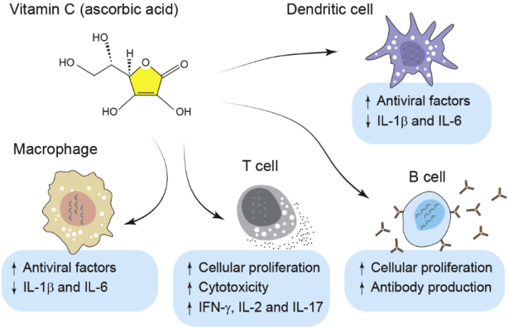 Figure 4