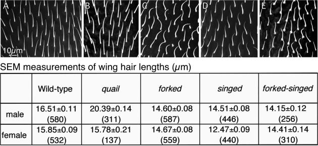 Figure 13.