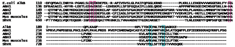 Figure 14