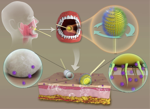 Figure 1