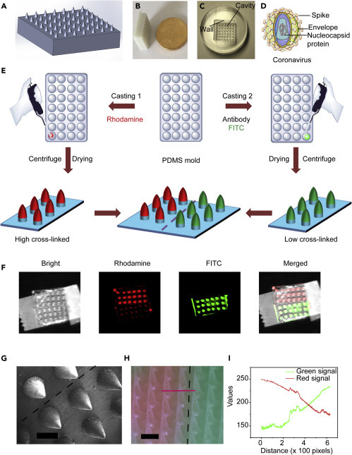 Figure 2