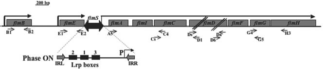 FIG. 3.