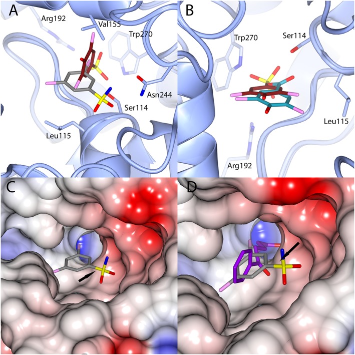 Figure 4