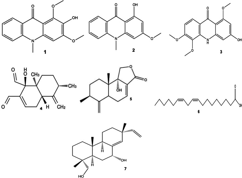 Fig. 5