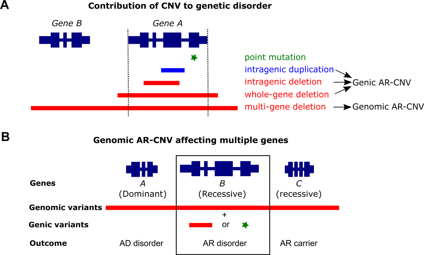 Figure 1 –