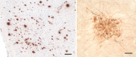 Figure 22