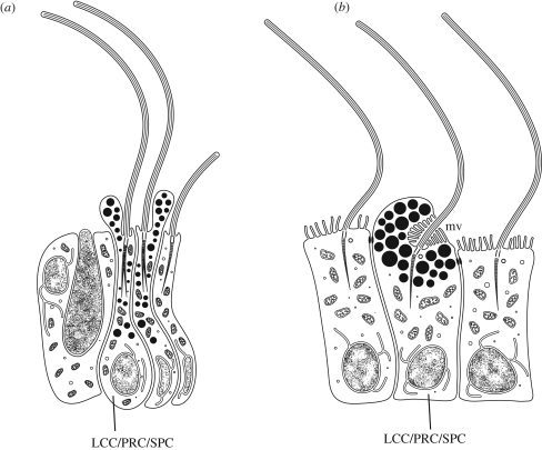 Figure 1.