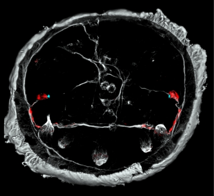 Figure 2.