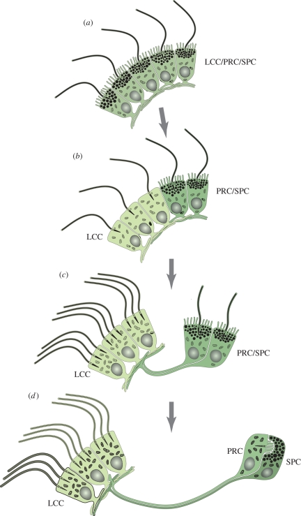 Figure 3.