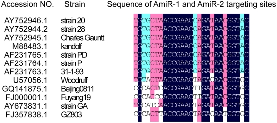 Figure 14