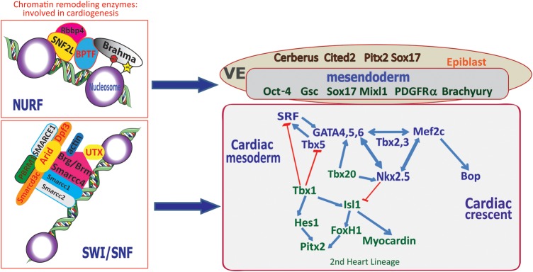 Figure 4