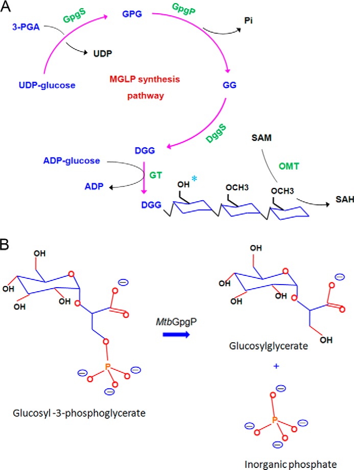 FIGURE 1.