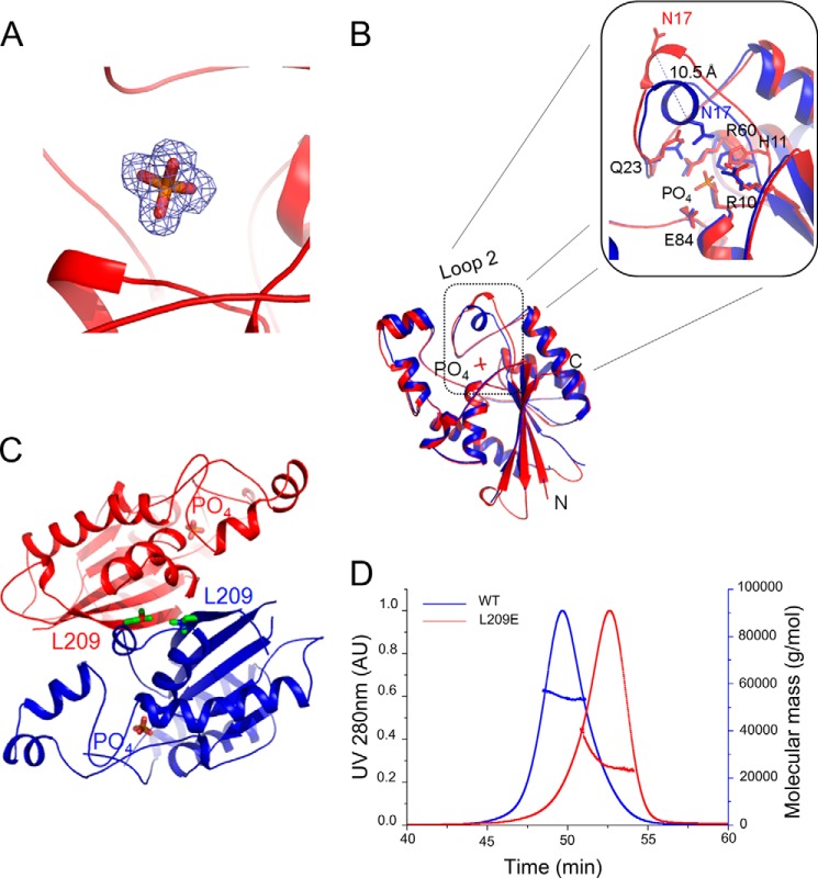 FIGURE 4.